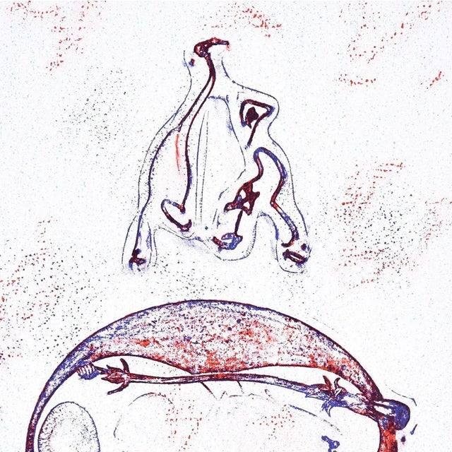 Après-moi Le XX Siècle is an original artwork realized by Max Ernst in 1971. Original colored lithograph. Very good...