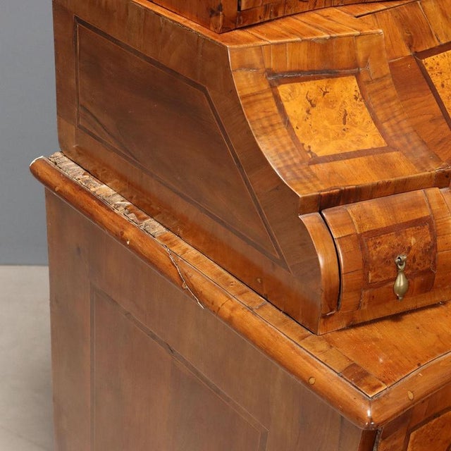 Walnut and Maple Burl Trumeau with Various Wood Trim For Sale - Image 13 of 16