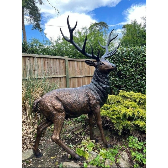 A magnificent life-size bronze sculpture of a twelve-point stag, dramatically modelled standing alert with its head raised...