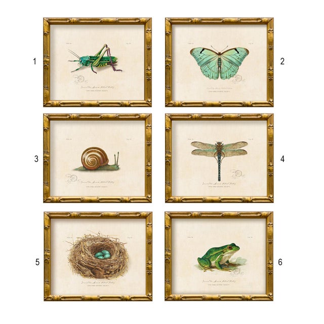 2020s Reproduction Vintage "Garden Friends" Art Print (10), Framed Bunny For Sale - Image 5 of 6