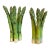 Patricia Garrett California Art Pottery Botanical Asparagus Form Candle Stick Holders - A Pair For Sale