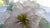 1960s Vintage Chinese Quartz and Jade Flower For Sale - Image 5 of 7