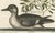 Small Brown and White Duck with Botanical Detail, 1770, Paper For Sale - Image 3 of 6