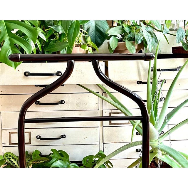 Vintage Art Deco Bentwood Clothing Valet, 1920s For Sale - Image 3 of 18