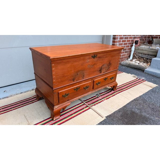 Antique Pennsylvania Two-Drawer Dower Chest, Lancaster County, Dated 1856 - "Elmina Stauffer" For Sale - Image 18 of 18