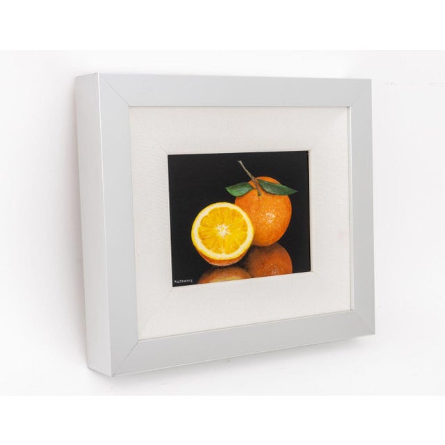 Patrick Lodwitz Fruit Still Life Scenes Oil, 2 For Sale - Image 10 of 11