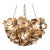 Shell Floret Chandelier For Sale