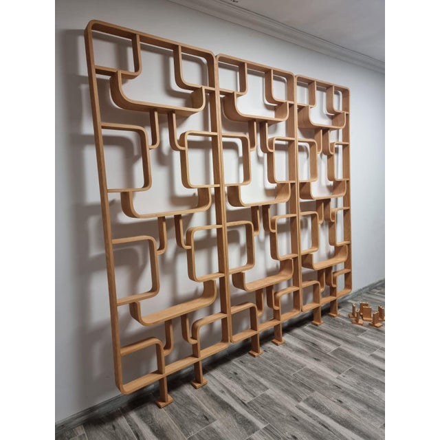 Room Dividers by Ludvik Volak for Drevopodnik Holesov, 1950s, Set of 3 For Sale - Image 4 of 11