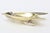 Vintage Abalone, Silver Plate and Brass Fish Bowl, 1950's, Restored For Sale In Miami - Image 6 of 10