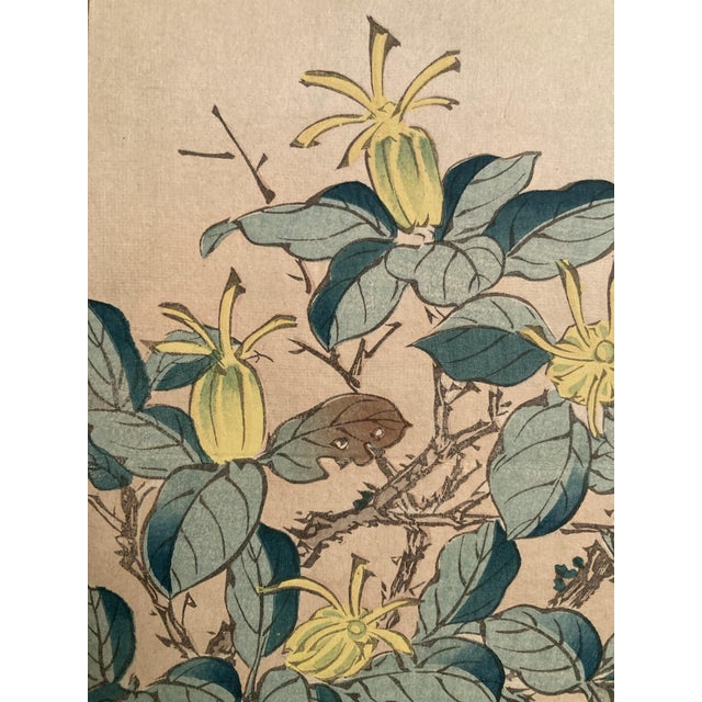 Nakayama Sūgakudō, Verdier Et Gardénia, 1859, Woodblock Print For Sale - Image 9 of 13