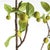 Realism Crabapple Branches 45" St/2 For Sale - Image 3 of 10