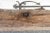 Long 18th Century Gangaur Architectural Carved Beam For Sale - Image 10 of 13