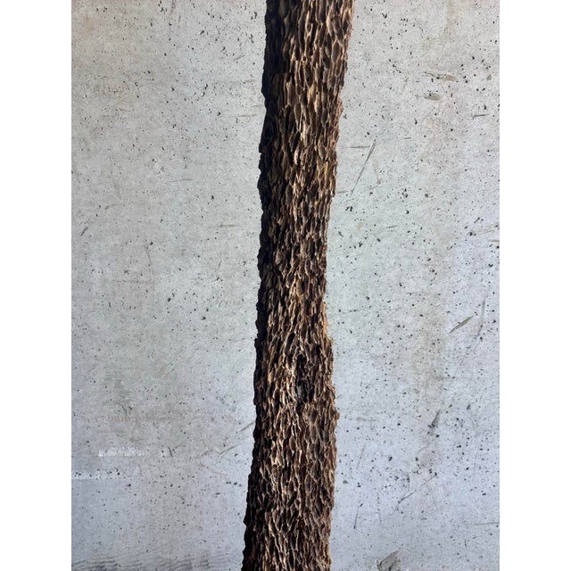 Rustic Vintage Coastal Oyster Worn Cedar Poles on Black Bases, Pair For Sale - Image 3 of 7