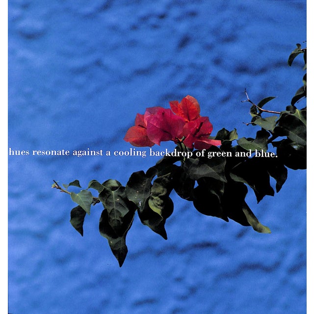 1990s "Miami Hot & Cool" Book 1990 Cerwinske, Laura For Sale - Image 5 of 12