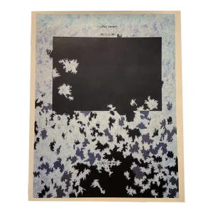 Contemporary Jenny Holzer Dust Paintings Book