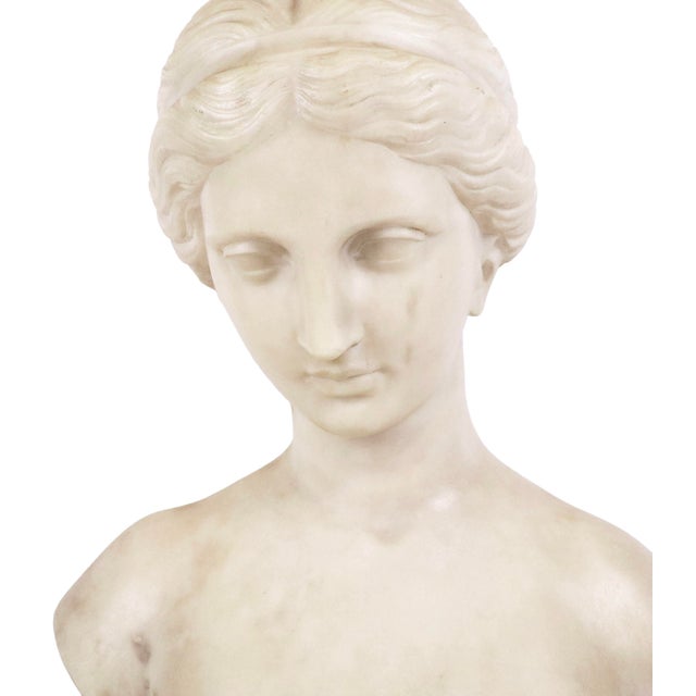 Italian Italian Carved Marble Bust of a Young Woman For Sale - Image 3 of 16