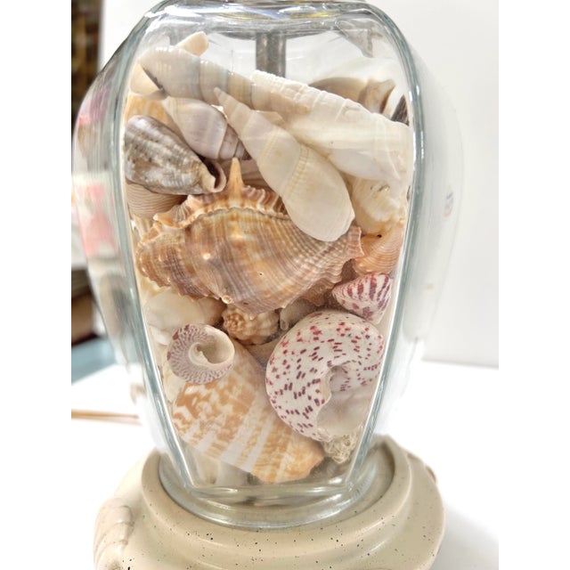 1980s 1980s Coastal Glass Table Lamp Filled With Natural Seashells For Sale - Image 5 of 10