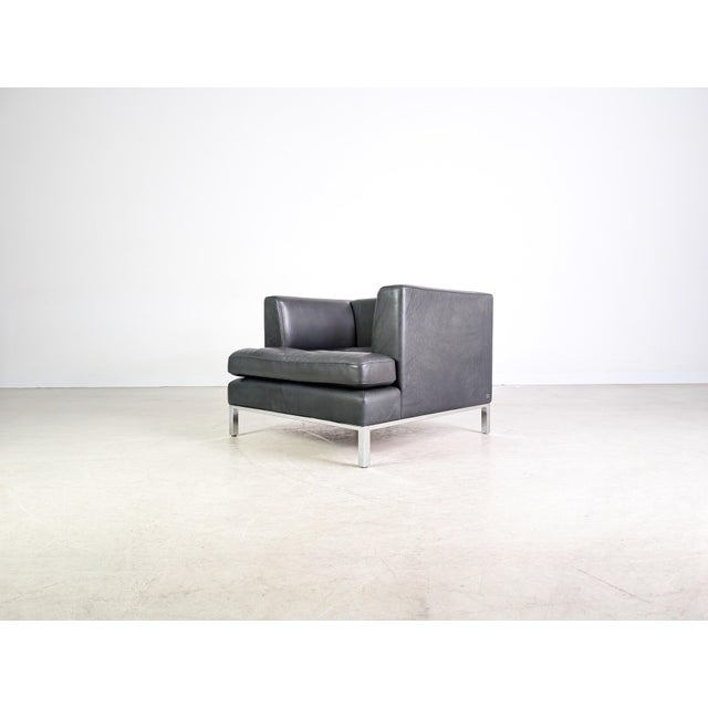 DS-0040 Leather Chair from de Sede For Sale - Image 5 of 12