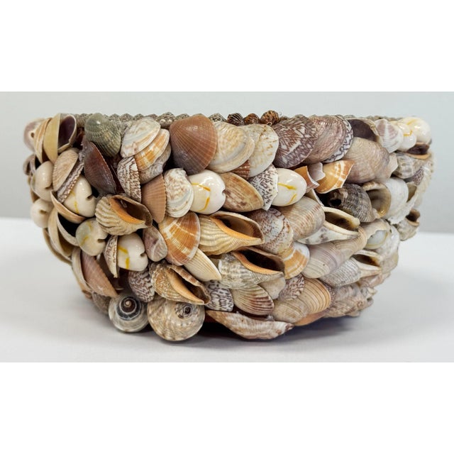 Mid 20th Century Vintage Shell Encrusted Terra Cotta Pot For Sale - Image 5 of 10