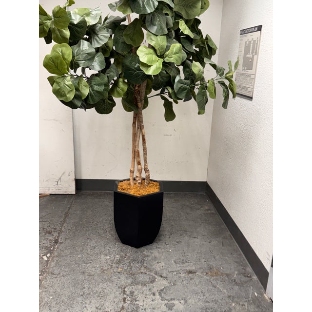 Safari Faux Fiddle Leaf Fig Tree + Tapered Black Planter For Sale - Image 3 of 12