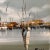 Mid 20th Century Original Oil Painting "Harbor Morning" Signed by Artist Italy, Framed For Sale In Chicago - Image 6 of 12