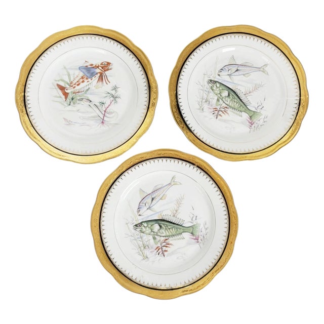 Ceramic Plates with Fish Decoration, France, 1970s, Set of 3 For Sale