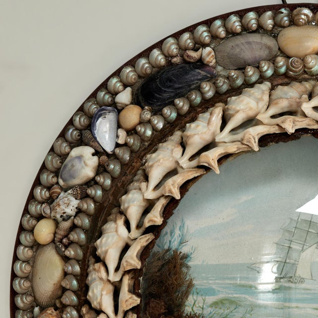 Shell Antique British Colonial Sailors Valentine With Seashells For Sale - Image 7 of 8