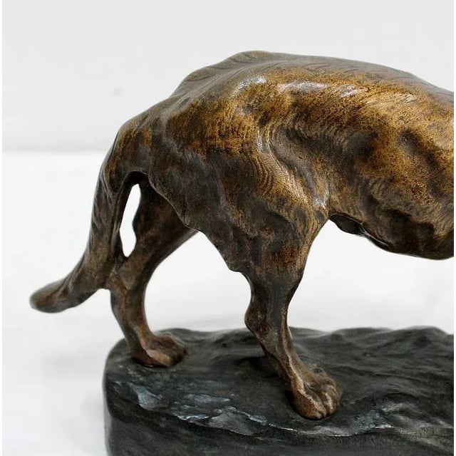 T.F. Cartier, German Shepherd Dog, Early 20th-Century, Bronze For Sale - Image 16 of 18