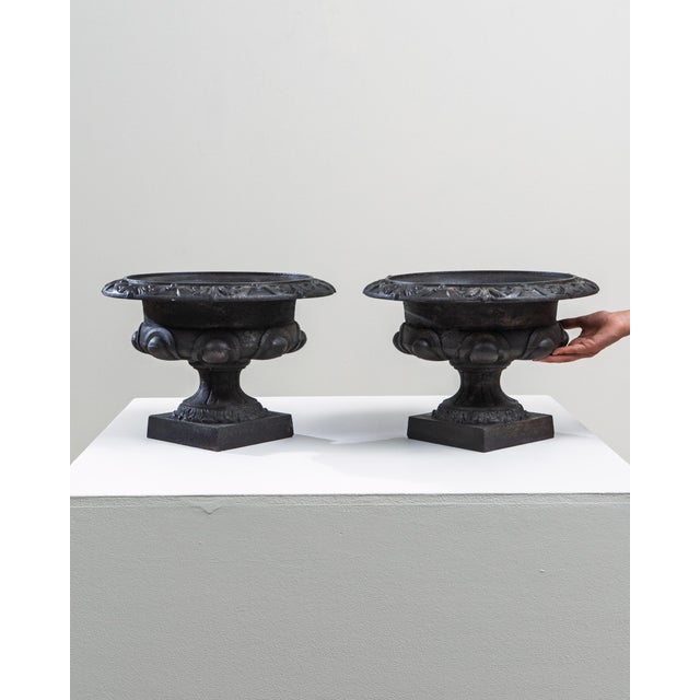 19th Century French Cast Iron Planters - A Pair For Sale - Image 12 of 18