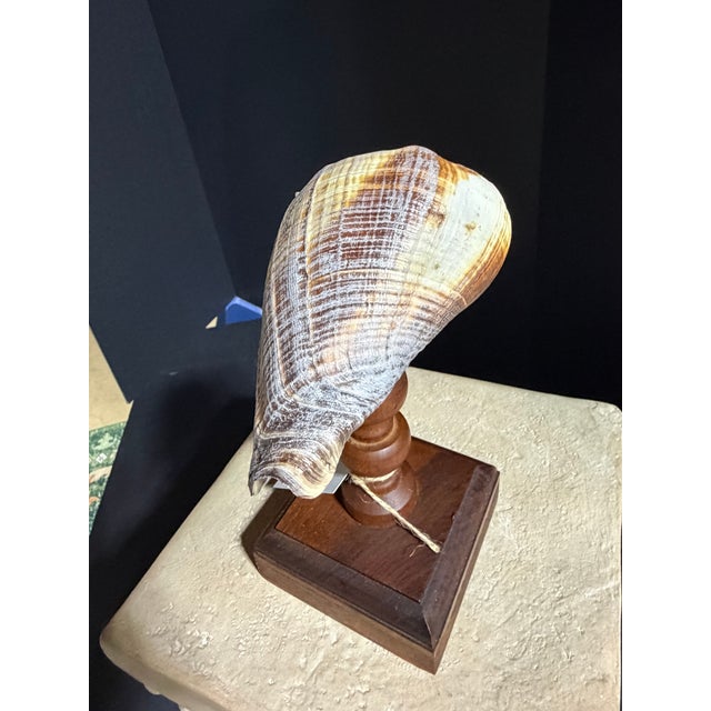 Traditional Celestial Meets the Sea Wooden Candlestick Topped With Shell-Coastal Art Sculpture For Sale - Image 3 of 5