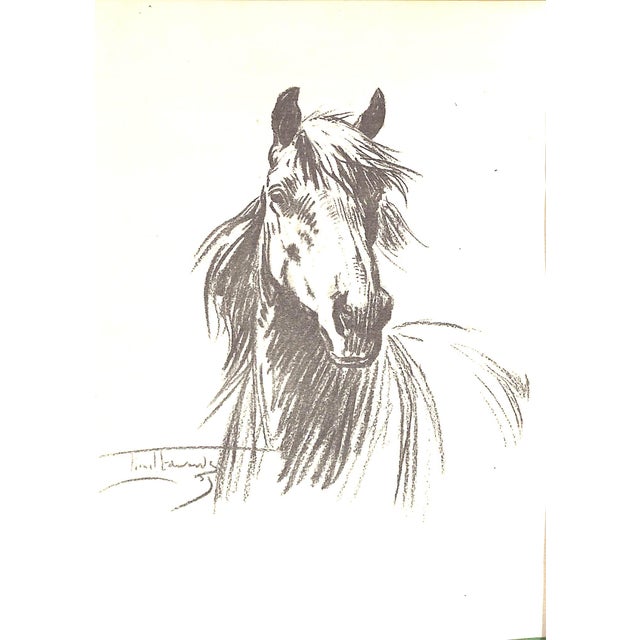 "Moorland Mousie: The Life Story of a Child's Pony" 1929 Gorse, Golden For Sale - Image 4 of 10