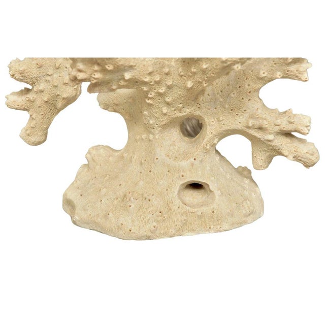 Late 20th Century Pair of White Coral Form Table Lamps For Sale - Image 5 of 5