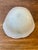 Vintage Murano Seashell Art Glass Bowl, Italian Cased Glass Catchall Dish For Sale In Miami - Image 6 of 7