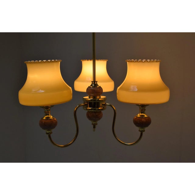Mid-Century Chandelier, 1960s For Sale - Image 11 of 13