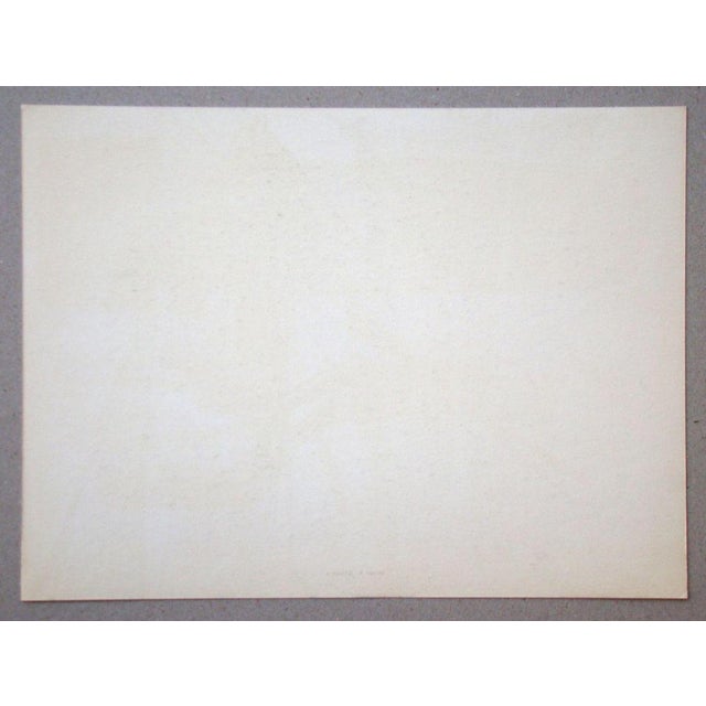 After Hans Hartung, Pastel P.1947-20, 1962, Photogravure For Sale - Image 11 of 12