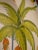Hand-Painted Dutch Faience Plate, 18th Century For Sale - Image 4 of 8