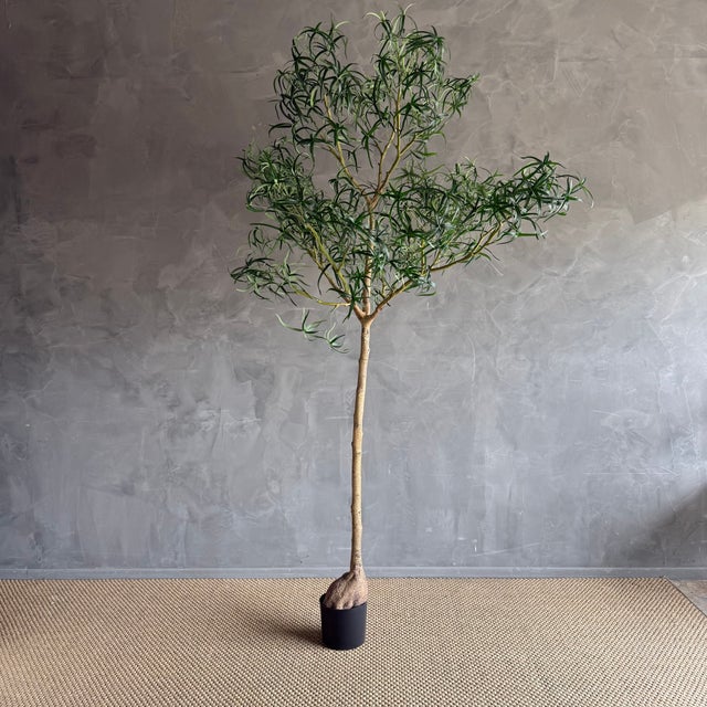 Realistic Bottle Tree 8′ For Sale - Image 9 of 9