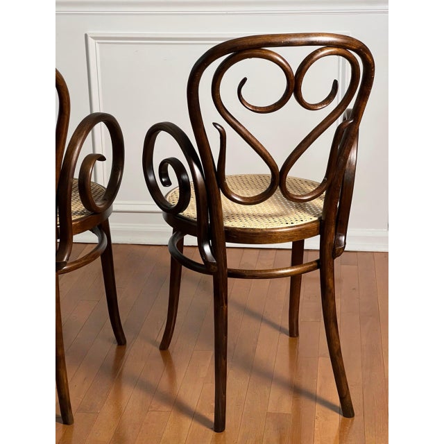 Italian Bentwood Thonet Cafe Daum Style Armchairs by Salvatore Leone, Set of 3 For Sale - Image 14 of 18