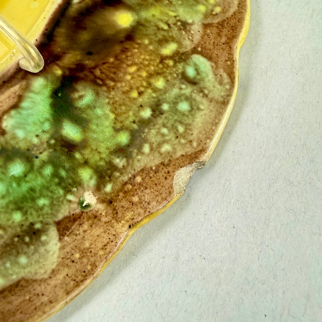 English Majolica Rustic Leaves on Bark Plates, Set of Two For Sale - Image 13 of 16