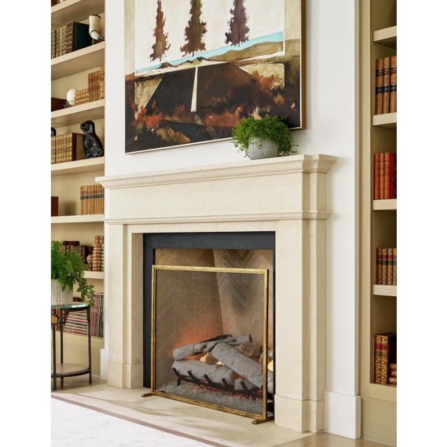 Tobacco Dakota Fireplace Screen For Sale - Image 12 of 12