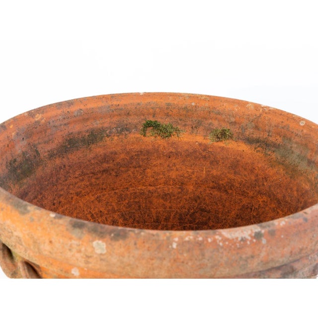 Large Terracotta Pot, England Mid 20th C. For Sale In New York - Image 6 of 9