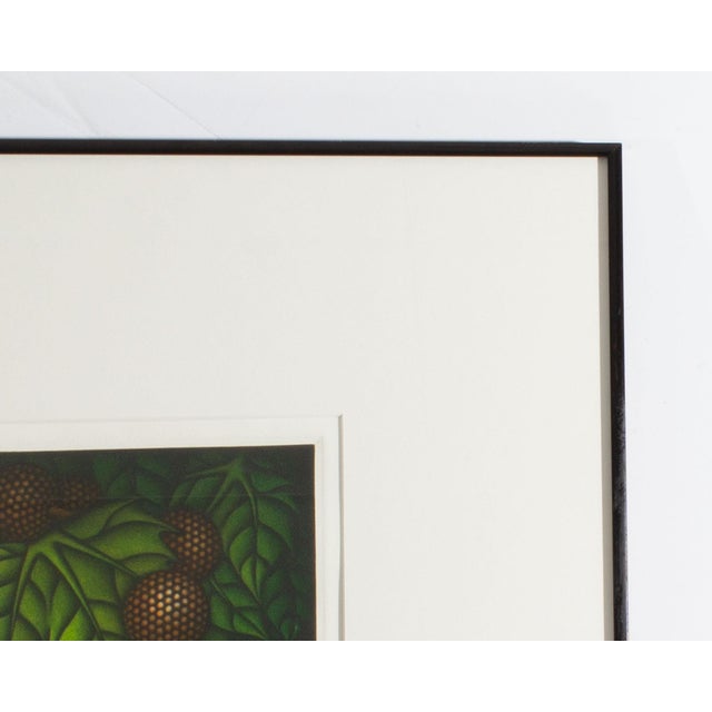 Japanese 1980 “Honda Berry” Limited Edition Mezzotint by Kazuhisa Honda For Sale - Image 3 of 7