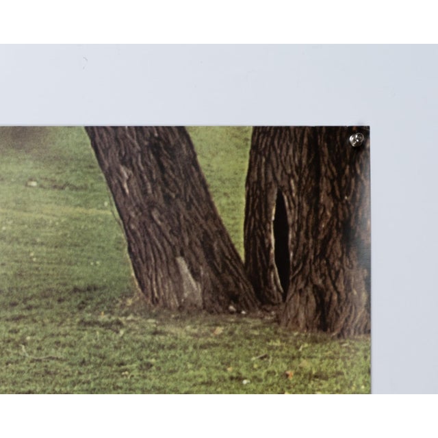 1970s Porsche 911 Poster from Strenger Advertising Agency, 1970s For Sale - Image 5 of 9
