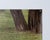 1970s Porsche 911 Poster from Strenger Advertising Agency, 1970s For Sale - Image 5 of 9
