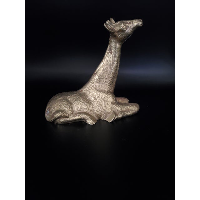 Gorgeous pair of vintage brass giraffes. There may loss of patina due to age. Perfect table or bookshelf decor.