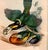 A striking ornithological print by John Gould depicting Selenidera maculirostris, the beautifully colored Spot-billed...