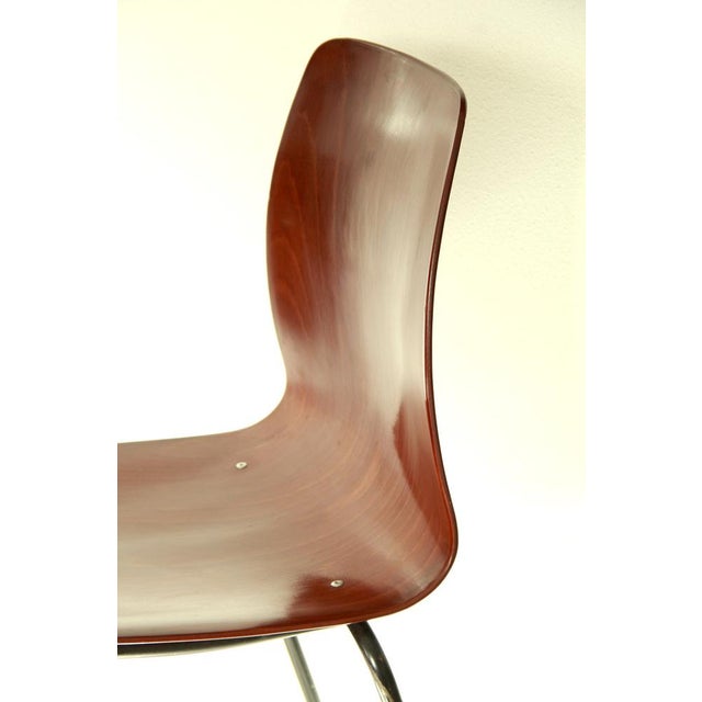 Mid-Century Chair from Pagholz Flötotto, 1950s For Sale - Image 11 of 14