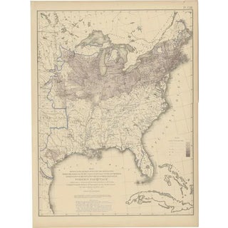 Antique Chart of the US Foreign Parentage, 1874 For Sale