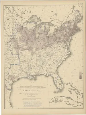 Antique Chart of the US Foreign Parentage, 1874