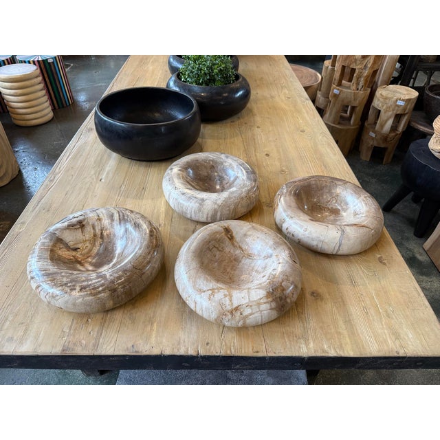 Petrified Wood Organic Modern Vintage Decorative Bowl For Sale In Los Angeles - Image 6 of 6